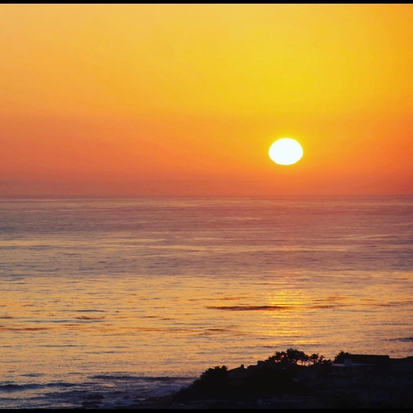 Meet your Posher, Brooke - Picture 1 of 1